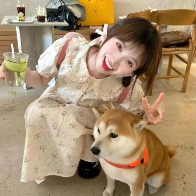 训练日